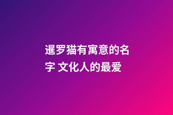 暹罗猫有寓意的名字 文化人的最爱